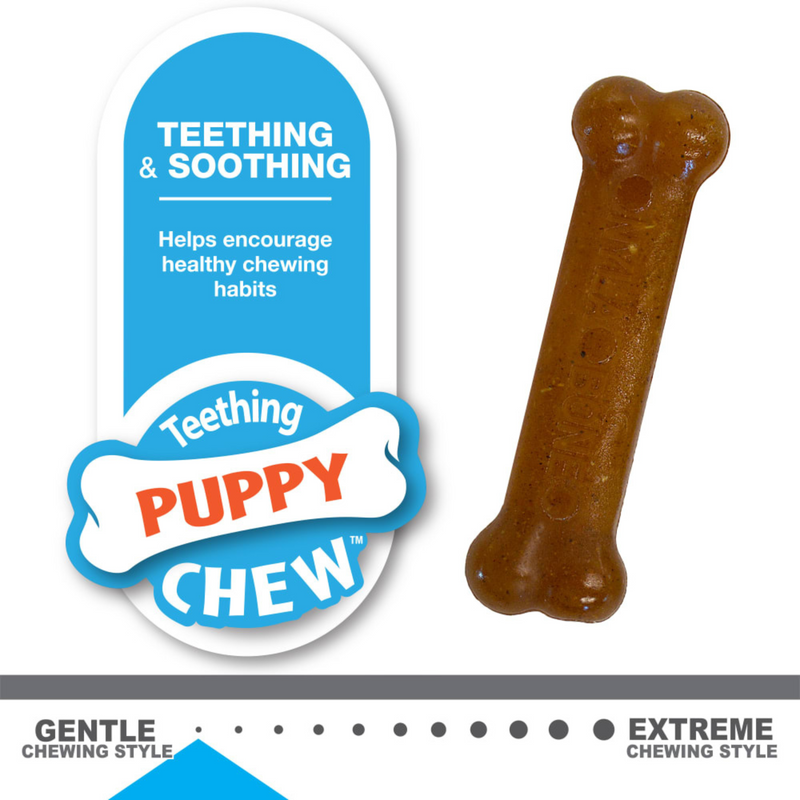 Dog Chewing Toy - Classic Puppy Chew - Twin Pack