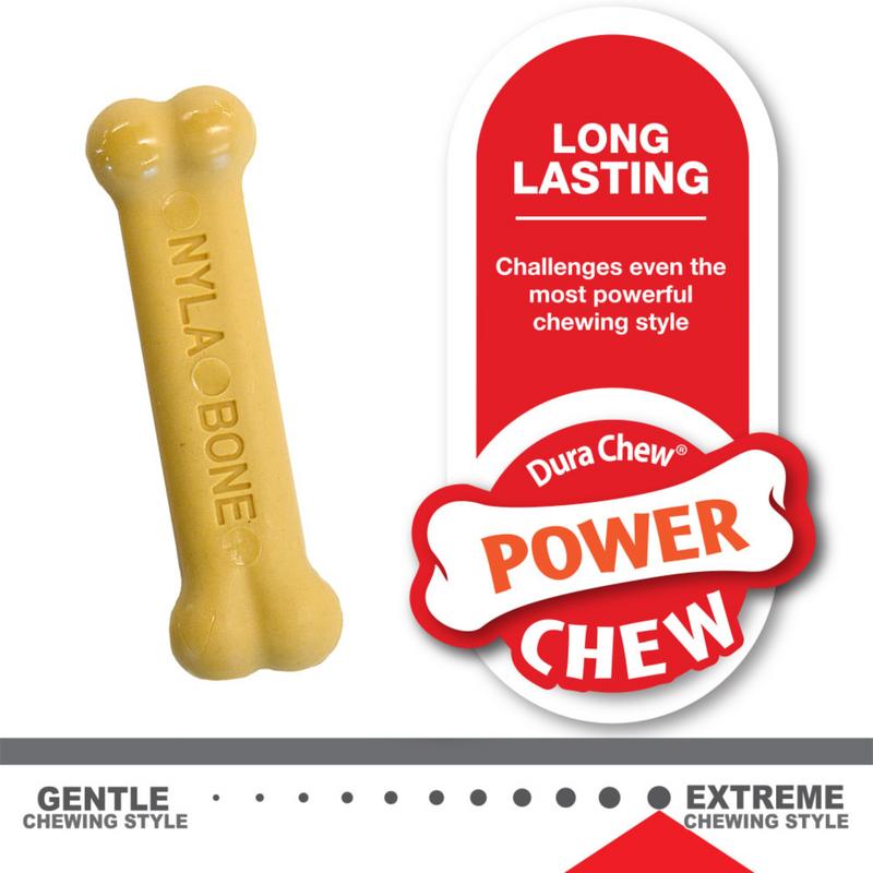 Dog Chewing Toy - Classic Puppy Chew - Twin Pack