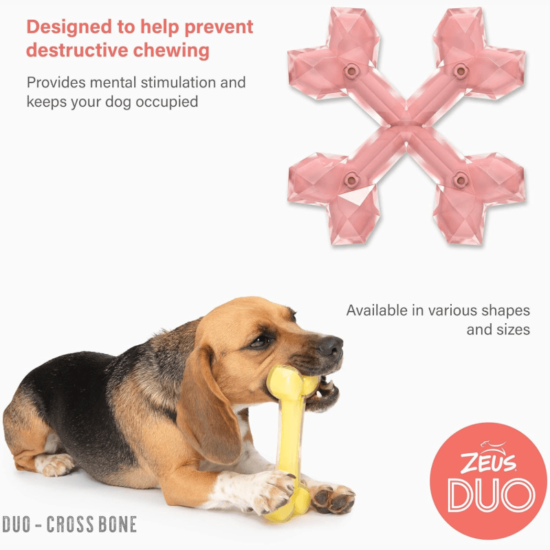 Dog Chewing Toy - DUO - Cross Bone - Chicken Scent - J & J Pet Club - Zeus