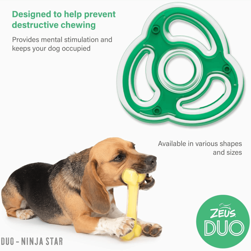 Dog Chewing Toy - DUO - Ninja Star - Mint Scent - J & J Pet Club - Zeus