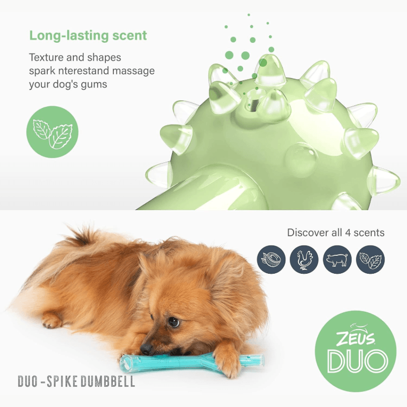 Dog Chewing Toy - DUO - Spike Dumbbell - Mint Scent - J & J Pet Club - Zeus