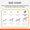 Dog Chewing Toy - PUPPY CHEW - Puppy Pacifier Teething Toy (Bacon Flavor) - J & J Pet Club - Nylabone