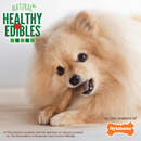 Dog Chewing Treat - HEALTHY EDIBLES - Roast Beef Flavor - Twin Pack - J & J Pet Club - Nylabone