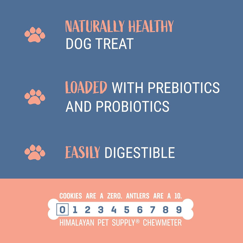 Dog Chewing Treat - YOGURT STICKS - Bacon with Prebiotics & Probiotics - 4.8 oz - J & J Pet Club - HIMALAYAN PET SUPPLY