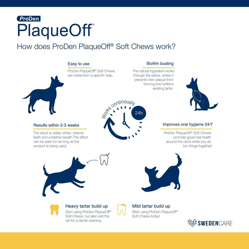 Dog Dental Care - PlaqueOff Soft Chews For Large & Giant Breed Dogs - J & J Pet Club - ProDen PlaqueOff