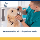 Dog Dental Care - PlaqueOff Soft Chews For Large & Giant Breed Dogs - J & J Pet Club - ProDen PlaqueOff