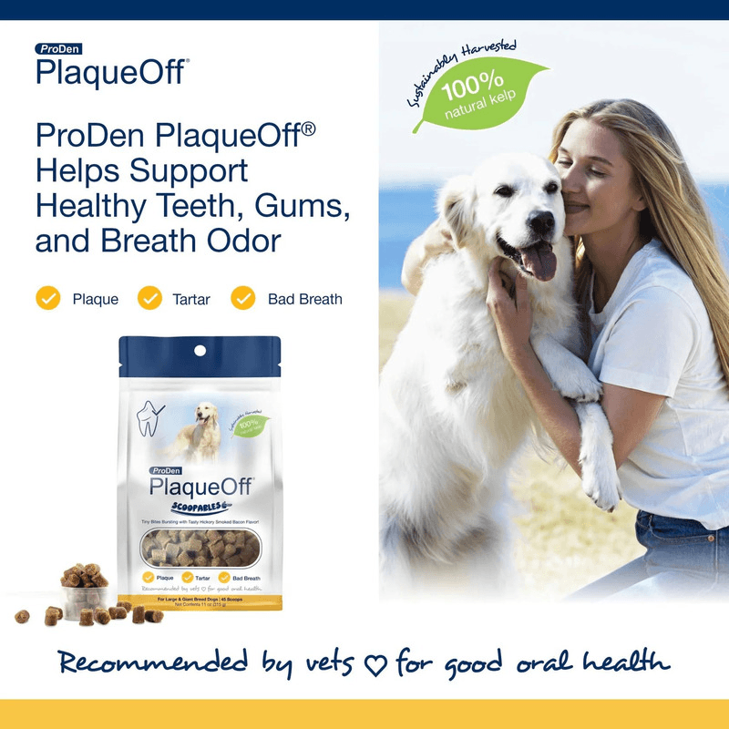 Dog Dental Care - SCOOPABLES - PlaqueOff Soft Chews For Large & Giant Breed Dogs - 45 scoops - J & J Pet Club - ProDen PlaqueOff