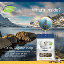 Dog Dental Care - SCOOPABLES - PlaqueOff Soft Chews For Small & Medium Breed Dogs - 45 scoops - J & J Pet Club - ProDen PlaqueOff