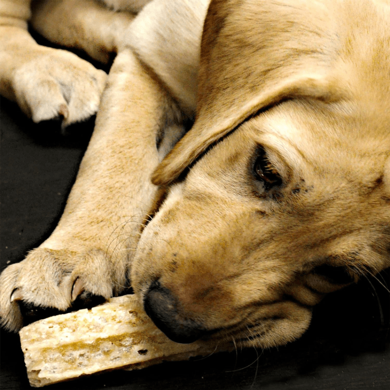 Dog Dental Chew - HAPPY TEETH - Cheese - 12 oz - J & J Pet Club - HIMALAYAN PET SUPPLY