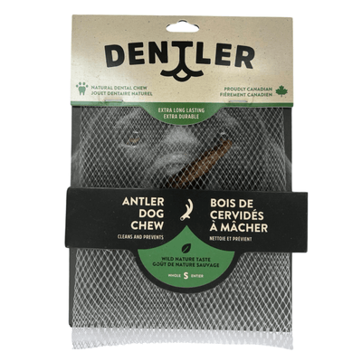Dog Dental Chew - Whole Antler - Natural Flavor - J & J Pet Club - Dentler