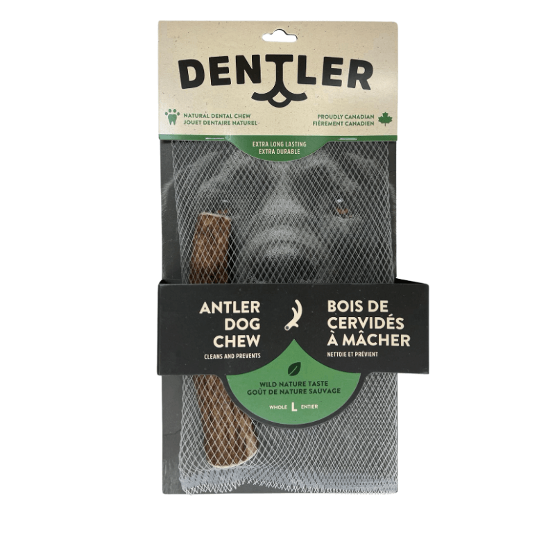 Dog Dental Chew - Whole Antler - Natural Flavor - J & J Pet Club - Dentler