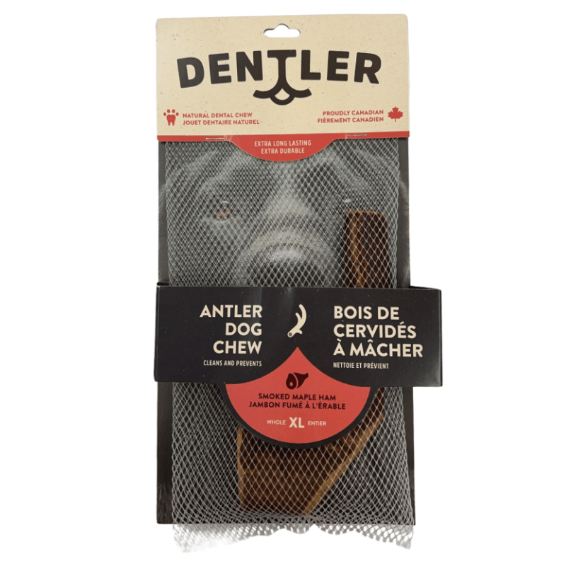 Dog Dental Chew - Whole Antler - Smoked Ham - J & J Pet Club - Dentler
