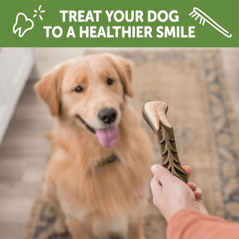 Dog Dental Treat - BRUSHZEES - Large (for Dogs 40-60 lbs.) - 1 ct (Bulk) - J & J Pet Club - WHIMZEES