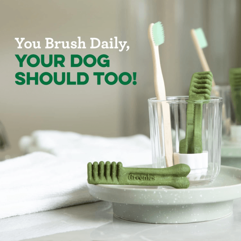 Dog Dental Treat - Fresh REGULAR - 12 oz Bag (12 ct) - J & J Pet Club - Greenies