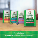 Dog Dental Treat - Original PETITE - J & J Pet Club - Greenies