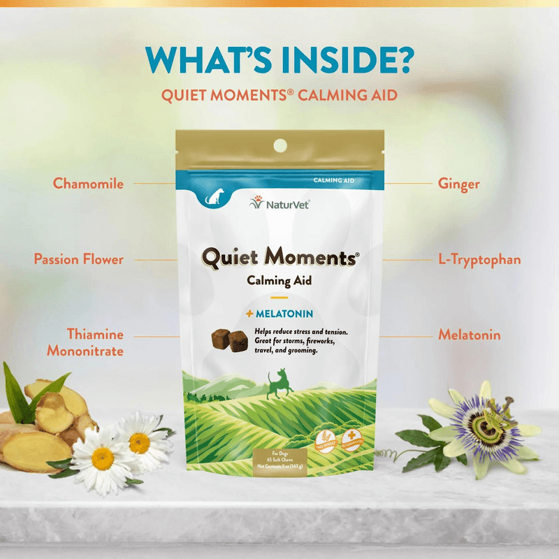 Dog Supplement - CALMING AID - Quiet Moments - Calming Aid + Melatonin - 65 soft chews - J & J Pet Club - Naturvet