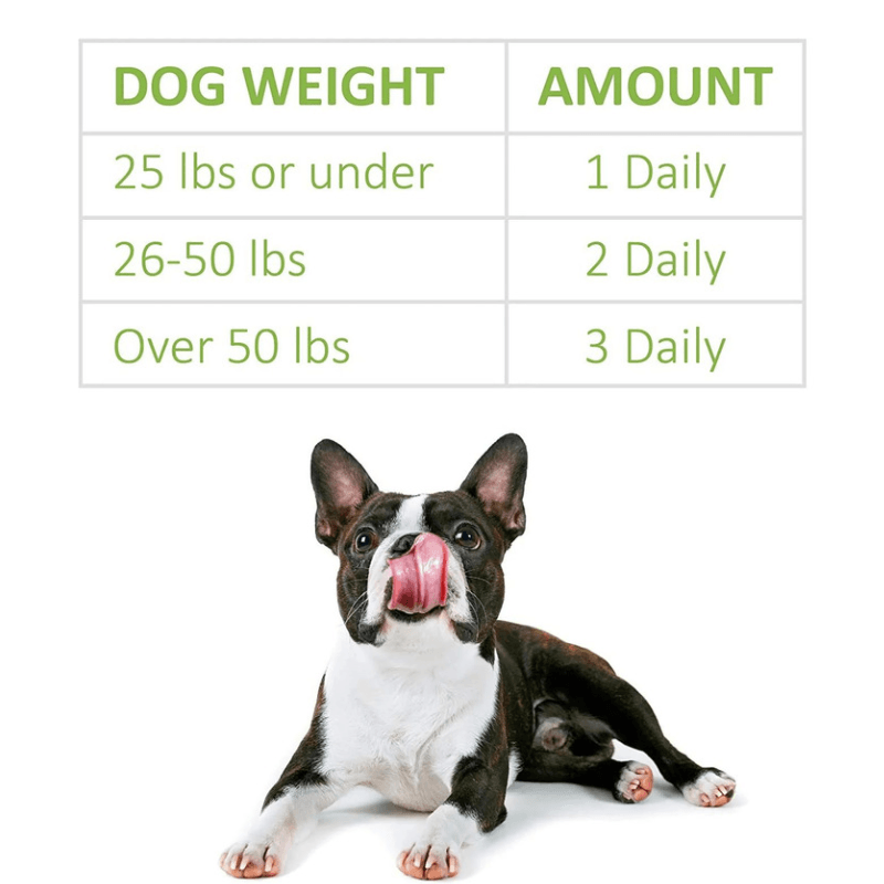 Dog Supplement - Complete Probiotic - 5.29 oz, 30 soft chews - J & J Pet Club - Veterinary Formula Clinical Care