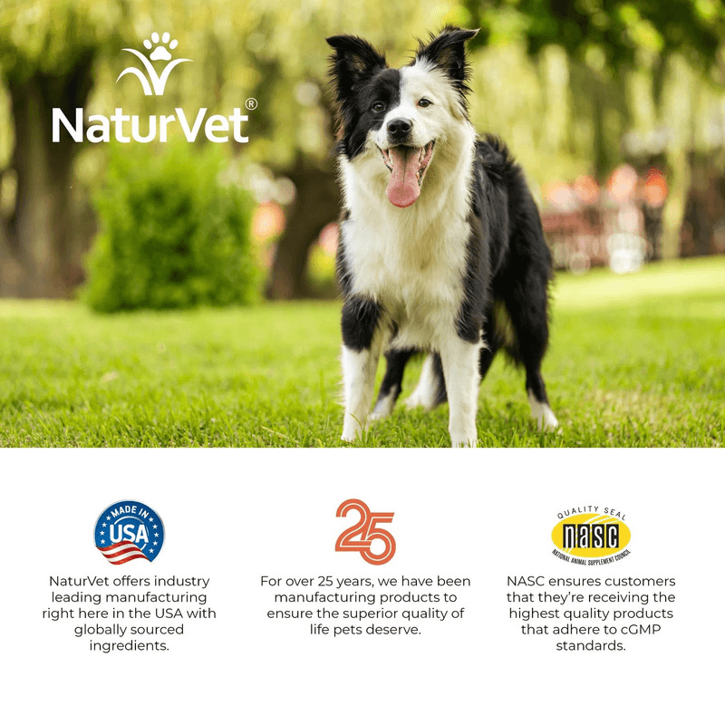 Dog Supplement - DAILY DIGESTIVE SUPPORT - Digestive Enzymes + Pre & Probiotic - 70 soft chews - J & J Pet Club - Naturvet