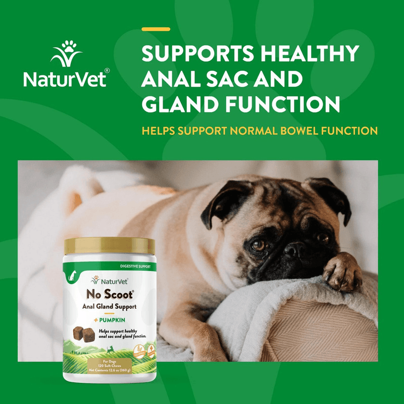 Dog Supplement - DIGESTIVE SUPPORT - No Scoot - Anal Gland Support + Pumpkin - 120 soft chews - J & J Pet Club - Naturvet