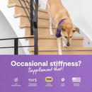 Dog Supplement - Hip & Joint - 90 ct soft chews - J & J Pet Club - Open Farm