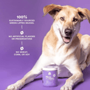 Dog Supplement - Hip & Joint - 90 ct soft chews - J & J Pet Club - Open Farm