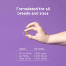 Dog Supplement - Hip & Joint - 90 ct soft chews - J & J Pet Club - Open Farm