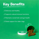 Dog Supplement - Immune - 90 ct soft chews - J & J Pet Club - Open Farm