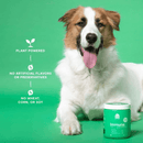 Dog Supplement - Immune - 90 ct soft chews - J & J Pet Club - Open Farm