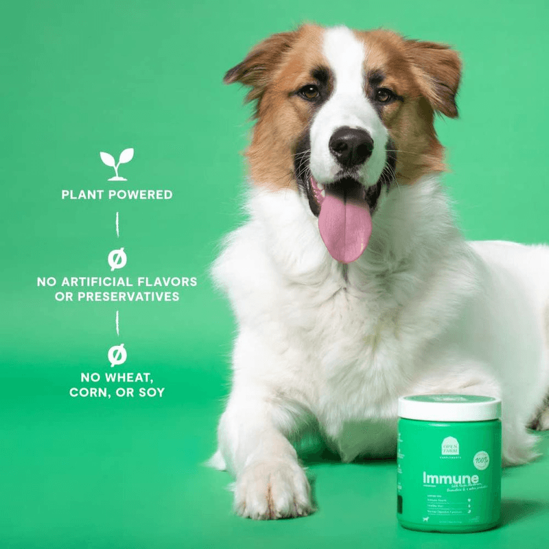Dog Supplement - Immune - 90 ct soft chews - J & J Pet Club - Open Farm