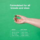 Dog Supplement - Immune - 90 ct soft chews - J & J Pet Club - Open Farm