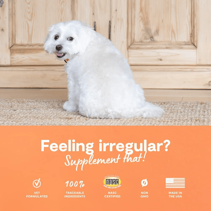 Dog Supplement - Probiotic - 90 ct soft chews - J & J Pet Club - Open Farm