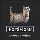 Dog Supplement - PROPLAN - FortiFlora - 1 g sachets, box of 30 - J & J Pet Club - Purina