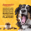 Dog Supplement - SCOOPABLES - DAILY CALMING AID - Emotional Support + 24/7 Support - 45 scoops - J & J Pet Club - Naturvet