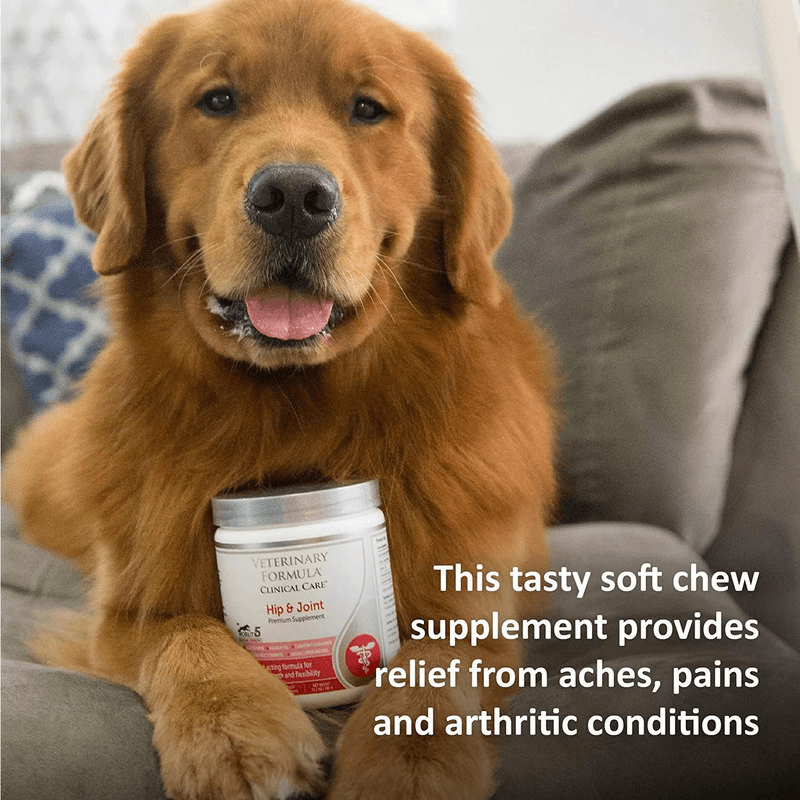 Dog Supplement - Ultimate Joint Health - 5.29 oz, 30 soft chews - J & J Pet Club - Veterinary Formula Clinical Care
