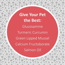 Dog Supplement - Ultimate Joint Health - 5.29 oz, 30 soft chews - J & J Pet Club - Veterinary Formula Clinical Care