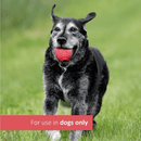 Dog Supplement - Ultimate Joint Health - 5.29 oz, 30 soft chews - J & J Pet Club - Veterinary Formula Clinical Care