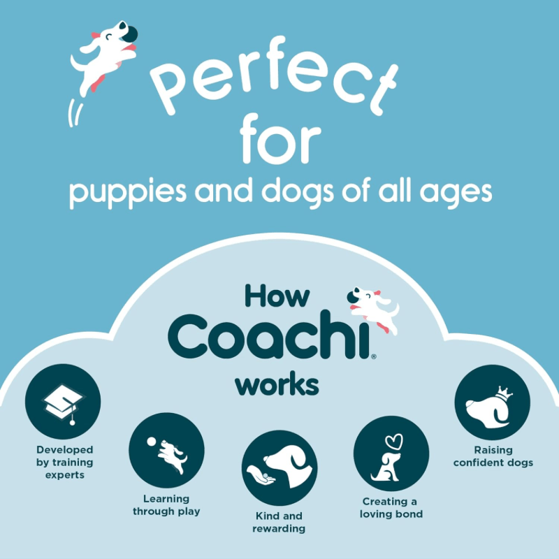 Dog Toy - Coachi Training Dumbbell - J & J Pet Club - COMPANY OF ANIMALS