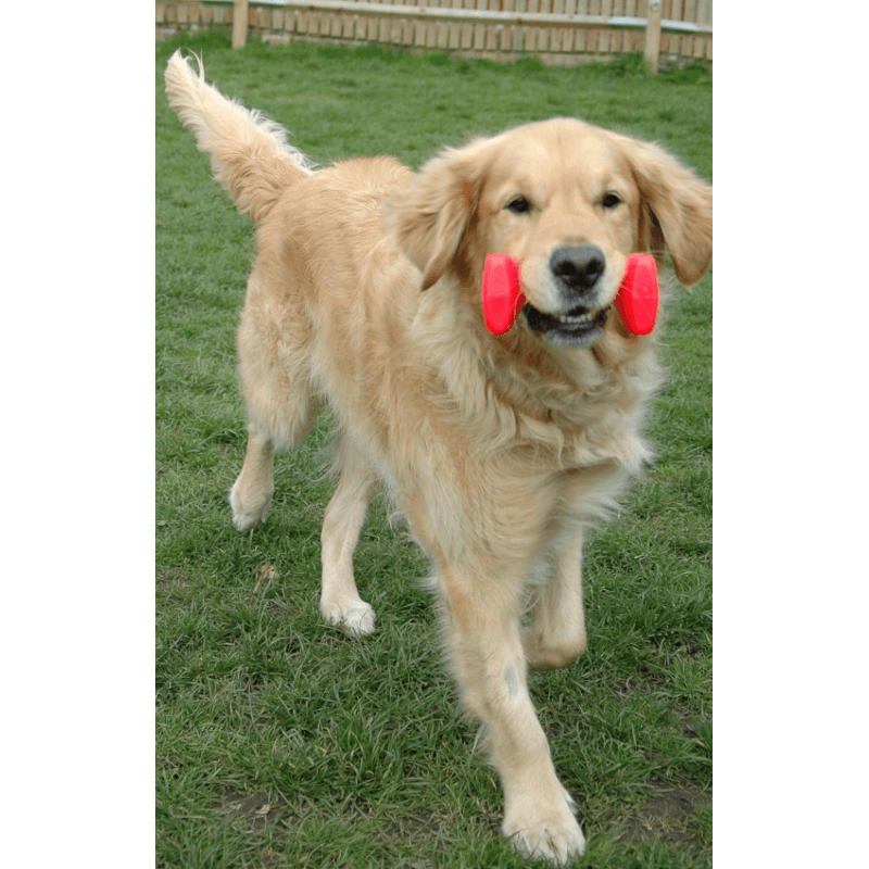 Dog Toy - Training Dumbbell - J & J Pet Club - COMPANY OF ANIMALS