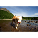 Dog Toy - ULTRA BALL - Medium, pack of 2 - J & J Pet Club - Chuckit!