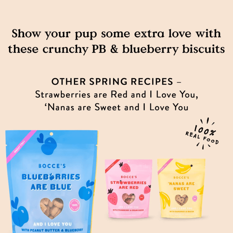 Dog Treat - BISCUITS - BLUEBERRIES ARE BLUE - with Peanut Butter & Blueberry - 5 oz - J & J Pet Club - Bocce's Bakery