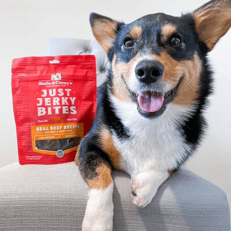 Dog Treat - JUST JERKY BITES - Real Beef Recipe - 6 oz - J & J Pet Club - Stella & Chewy's