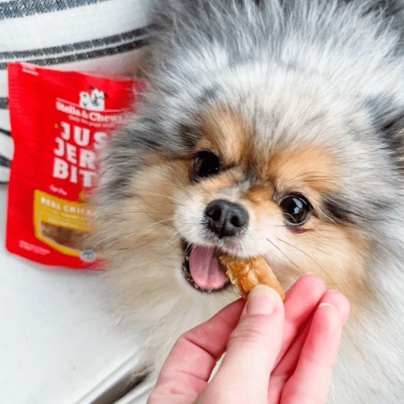Dog Treat - JUST JERKY BITES - Real Chicken Recipe - 6 oz - J & J Pet Club - Stella & Chewy's