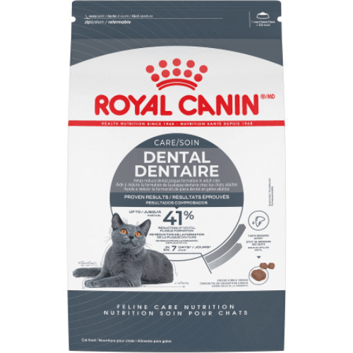 Dry Cat Food - Adult Cat - Dental Care - J & J Pet Club - Royal Canin