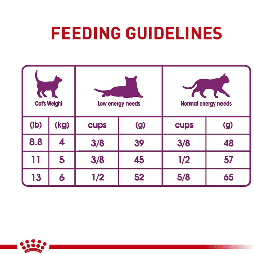 Dry Cat Food - Adult Cat - Sensitive Digestion - J & J Pet Club - Royal Canin