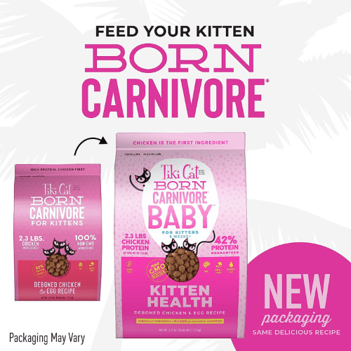Dry Cat Food - CARNIVORE BABY - Kitten Health: Deboned Chicken & Egg - 2.8 lb - J & J Pet Club - Tiki Cat