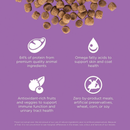 Dry Cat Food - CARNIVORE, Grain-Free Chicken, Turkey + Duck Recipe - J & J Pet Club - GO!