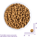Dry Cat Food - COMPLETE HEALTH - Grain Free Chicken - INDOOR Adult - J & J Pet Club - Wellness