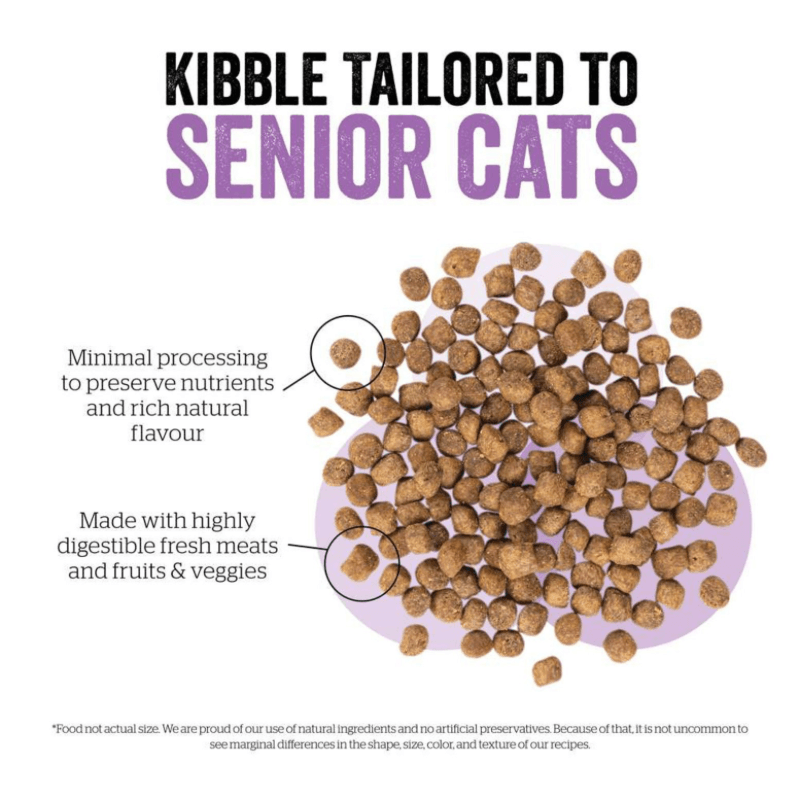 Dry Cat Food, Grain-Free Turkey, Salmon Duck Recipe Senior – J