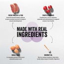 Dry Cat Food, Grain-Free Turkey, Salmon & Duck Recipe - Senior - J & J Pet Club - Now Fresh