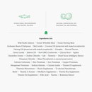 Dry Cat Food, Grain Free Wild-Caught Salmon Recipe - J & J Pet Club - Open Farm